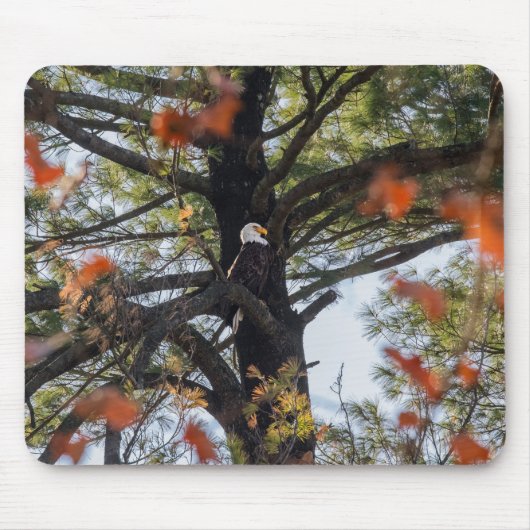 イーグルと落下葉する マウスパッド (正面)