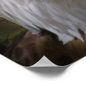 イーグルのコラージュ ポスター (角)