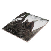 イーグルの家族がスパイゲランドタイルを歌う タイル (側面)