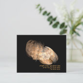 イーグルの翼 ポストカード (スタンド正面)