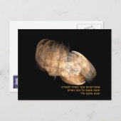 イーグルの翼 ポストカード (正面/裏面)