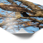 イーグルの若者 フォトプリント            (角)