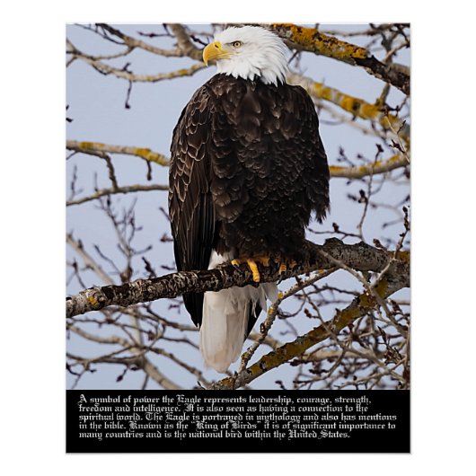 イーグルの象徴 ポスター (正面)
