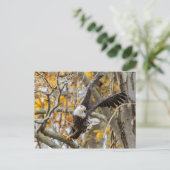 イーグルを回す ポストカード (スタンド正面)