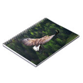 イーグルアイビュー ノートブック (左側)