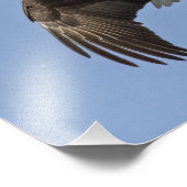 イーグルアイ フォトプリント            (角)