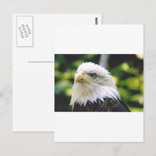 イーグルアイ ポストカード (正面/裏面)