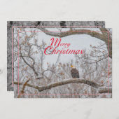 イーグルインスノーストームホリデーカード シーズンカード (正面/裏面)