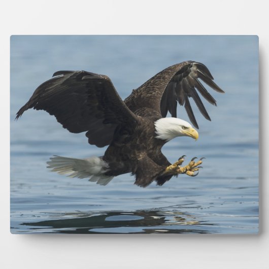 イーグルオンアプローチ フォトプラーク (正面)