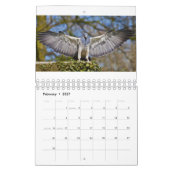 イーグルカレンダー2025 カレンダー (2月 2027)