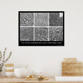 イーグルクレーターの火星の土壌の種類の多様性 ポスター (キッチン)