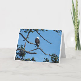 イーグルグリーティングカード カード