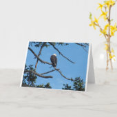 イーグルグリーティングカード カード (黄色い花)