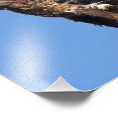 イーグルゲーム フォトプリント            (角)