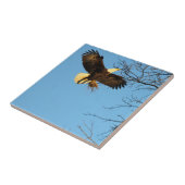 イーグルサンセットウィング タイル (側面)