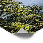 イーグルシオトリバーコロンバスオハイオプリント ポスター (角)