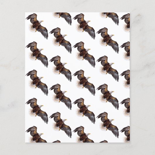 イーグルスクラップブックの背景紙 (正面)