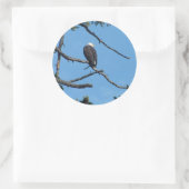 イーグルステッカー ラウンドシール (バッグ)