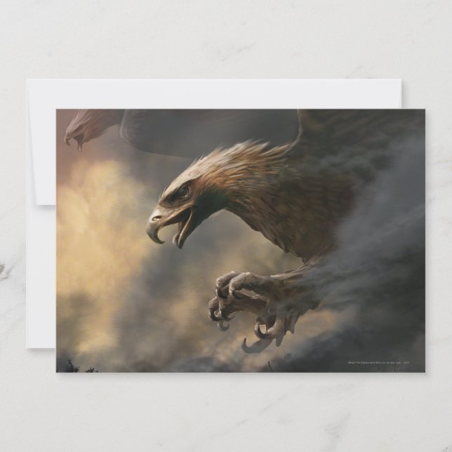 イーグルス素晴らしコンセプト (正面)