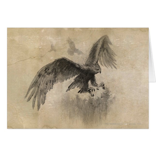 イーグルス素晴らしスケッチ (正面横)