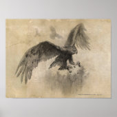 イーグルス素晴らしスケッチ ポスター (正面)