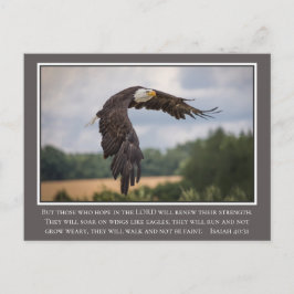 イーグルス・イザヤのような君のコイオ翼聖書40:31 ポストカード
