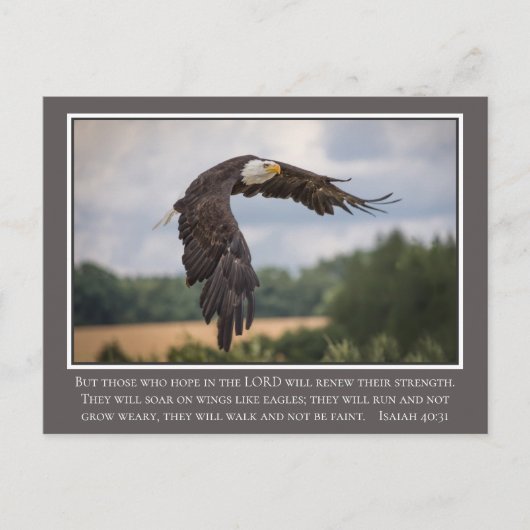 イーグルス・イザヤのような君のコイオ翼聖書40:31 ポストカード (正面)