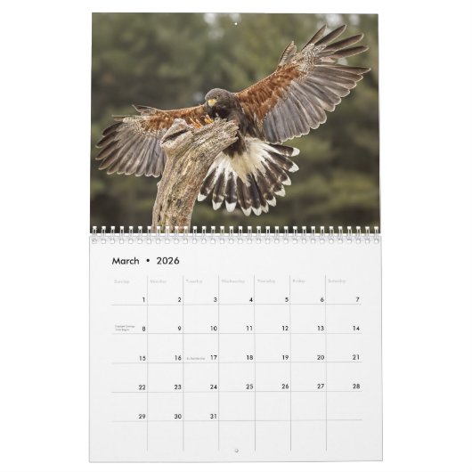イーグルス、フクロウおよびタカの野性生物のカレンダー カレンダー (3月 2026)
