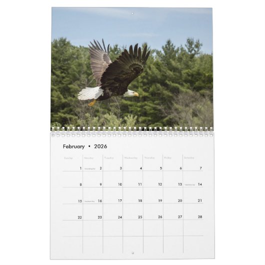 イーグルス、フクロウおよびタカの野性生物のカレンダー カレンダー