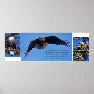 イーグルス ポスター