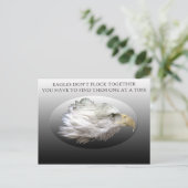 イーグルズが群れにならないポストカード ポストカード (スタンド正面)