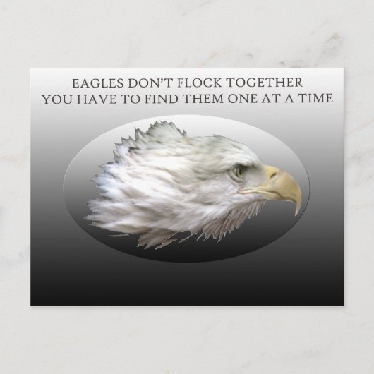 イーグルズが群れにならないポストカード ポストカード (正面)
