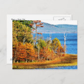 イーグルズオンサルディス湖 ポストカード (正面/裏面)