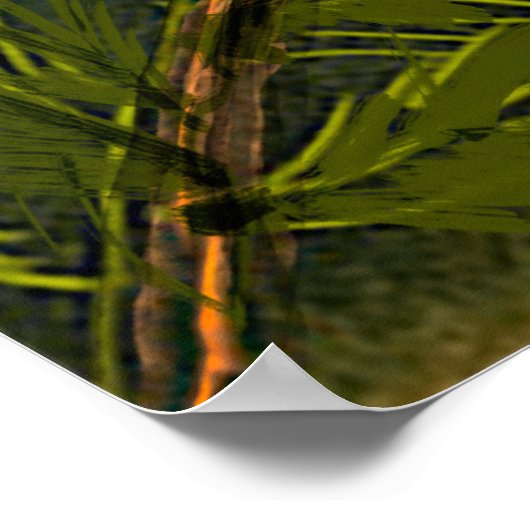 イーグルズデジタルと北西自然ライフ絵画ズ ポスター (角)