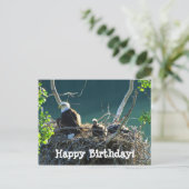 イーグルズネスト;ハッピーバースデー ポストカード (スタンド正面)