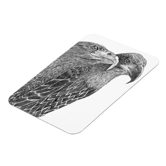 イーグルズハリエット+羽と友人のMフライング マグネット (左側)