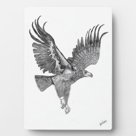 イーグルズハリエット+Mホームファミリーツリーハイフリー フォトプラーク (正面)