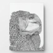 イーグルズハリエット+ MホームファミリーツリーE9 SOARS フォトプラーク (正面)