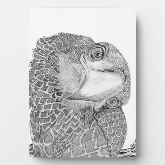 イーグルズハリエット+ MホームファミリーツリーE9 SOARS フォトプラーク (正面)