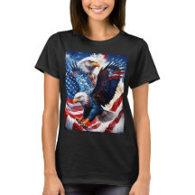 イーグルズ飛行中