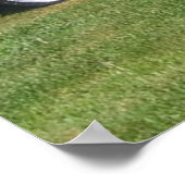 イーグルタロンのポスター ポスター (角)