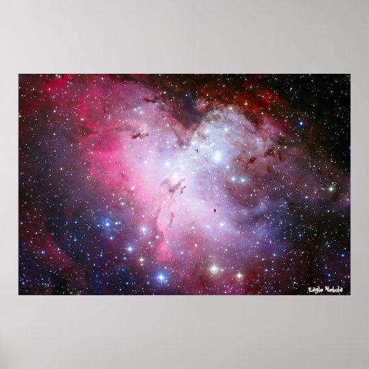 イーグルヌブラ ポスター (正面)