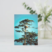 イーグルネスト ポストカード (スタンド正面)