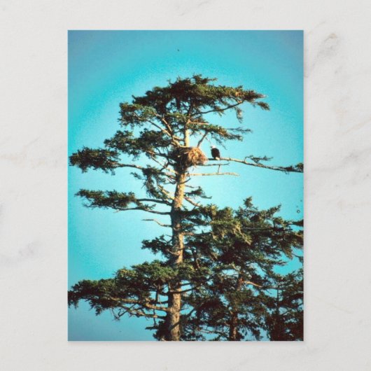 イーグルネスト ポストカード (正面)