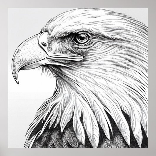 イーグルバードワイルド自然動物イラストレーションアート ポスター (正面)