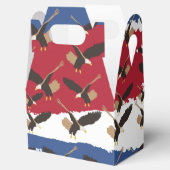 イーグルバードUSA愛国米国国旗 フェイバーボックス (オープン)