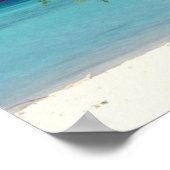 イーグルビーチ | カリブの，アルバ ポスター (角)