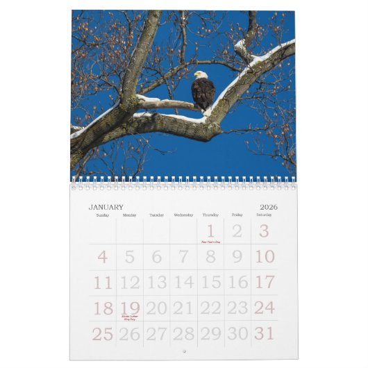 イーグルファミリーカレンダー カレンダー (1月 2026)