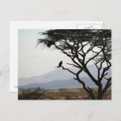 イーグルフクロウのシルエット ポストカード (正面/裏面)