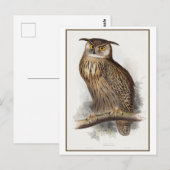 イーグルフクロウイラストレーションバイエドワードリア ポストカード (正面/裏面)